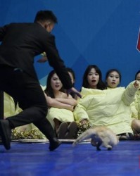 CBA赛场“意外”：两只猫咪闯入捣乱，保安上演爆笑追逐战