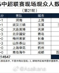 2025赛季中超第21轮上座率数据分析
